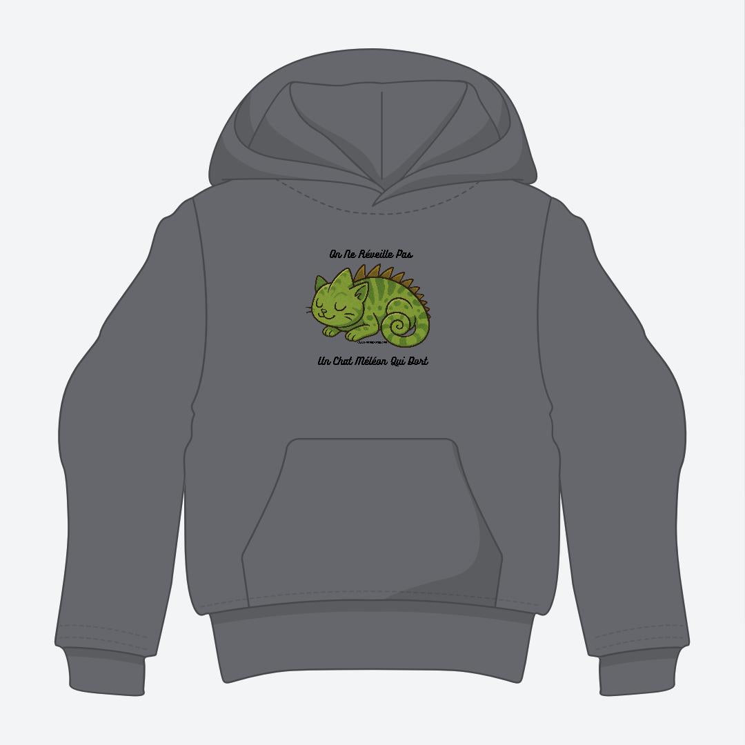 Chat Méléon Hoodie