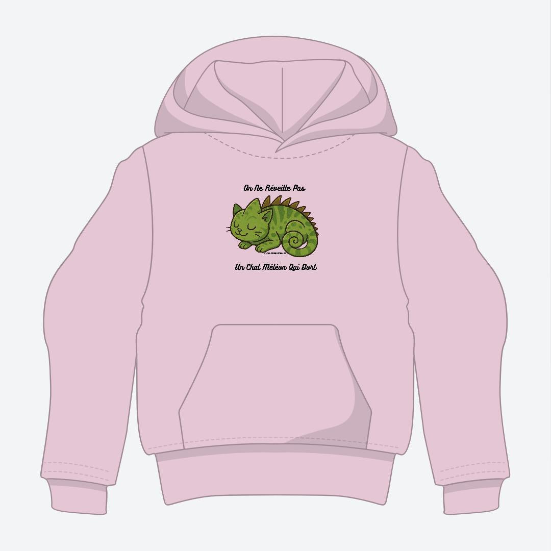 Chat Méléon Hoodie